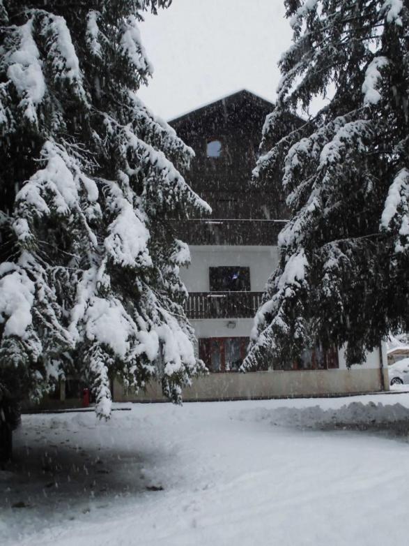 Affittacamere Casa Alpina 3*